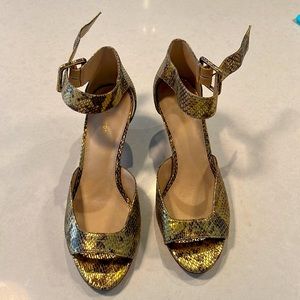 Pelle Moda GOLD snake print sandal